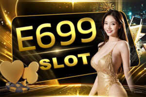 E699 SLOT